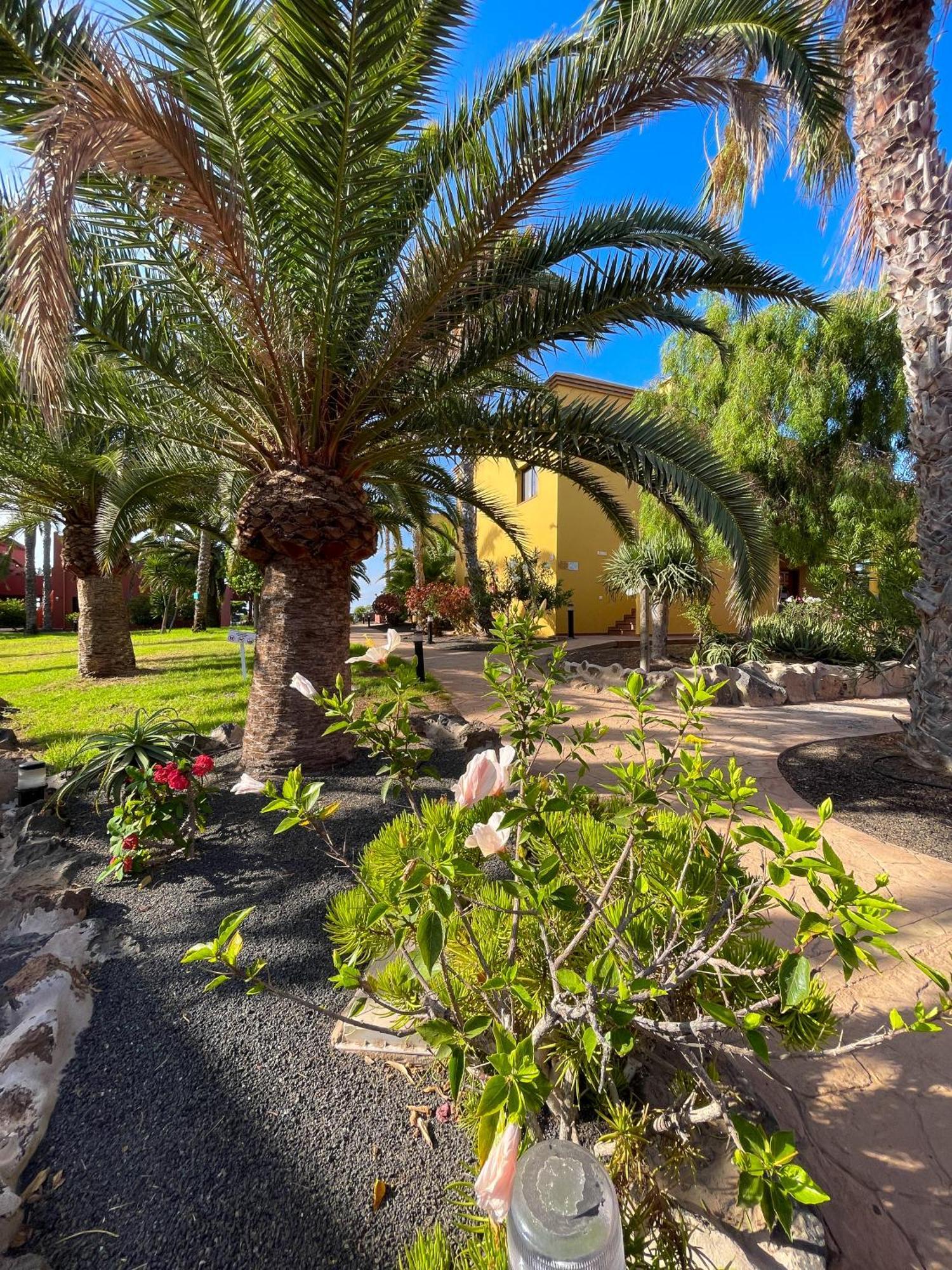 Karol Home By Best Holidays Fuerteventura Corralejo Eksteriør billede